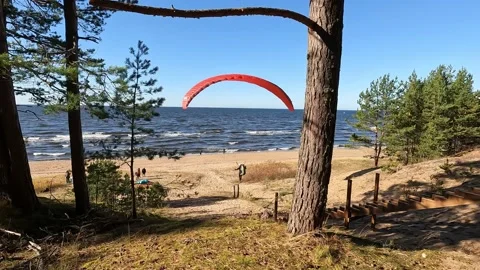 Paraglider flapping to land on pole from dune by the Baltic sea Video stock 218978632