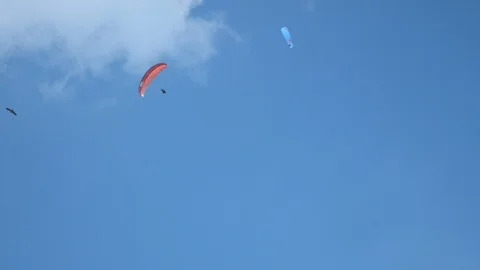 Paraglider flies Stock Footage 99959123