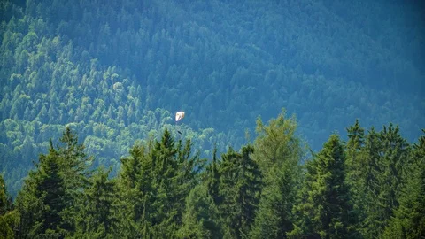 Paraglider flies over trees pine mountains in Kotlje, Slovenia, slowmo 動画素材 125108830