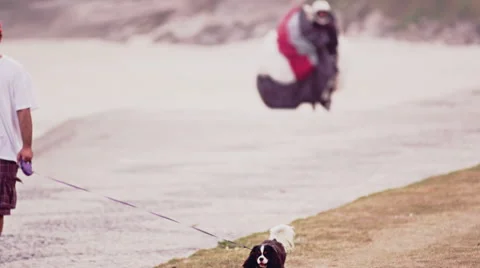 Paraglider in flight Stock Footage 64865597