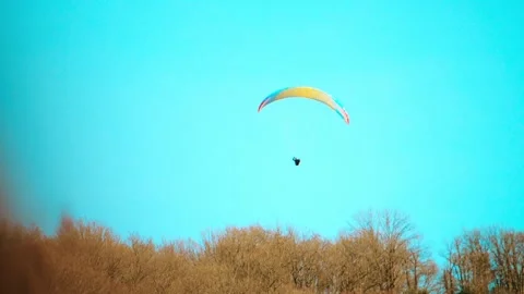 Paraglider Flying Above Bare Winter Trees In French Alps Stock Footage 330638042