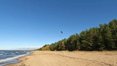 Paraglider flying away on the Baltic beach by the sea Video stock 218978366