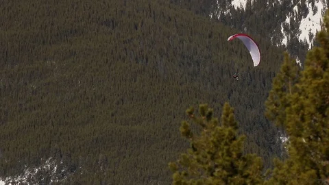 Paraglider flying behind trees in front of mountain Video stock 74535939