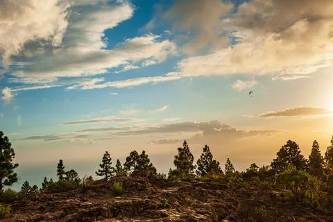 Paraglider flying in dramatic orange sunset with scenic clouds. Brown desert  Stock Photos