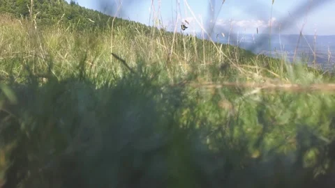 Paraglider flying left to right toward valley below. Pilor soaring on air. Stock Footage 261503160