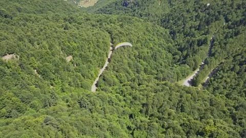 Paraglider flying over forest. Man with blue yellow parachute sailing Stockbeeldmateriaal 261503234