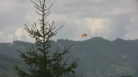Paraglider Video stock 599491
