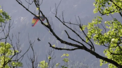 Paraglider in front of a mountain forest Video stock 260855280