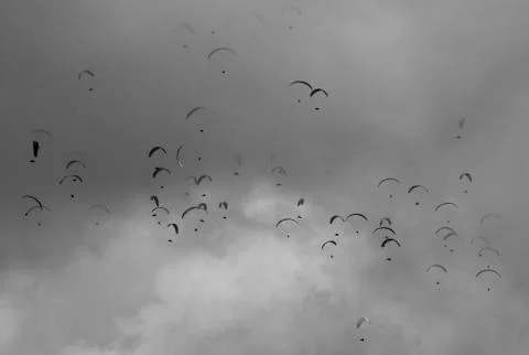 Paraglider Stock Photos