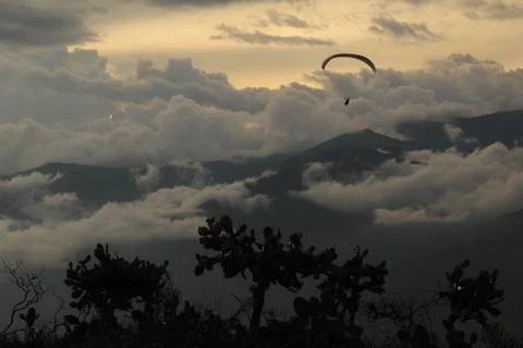 Paraglider Foto stock