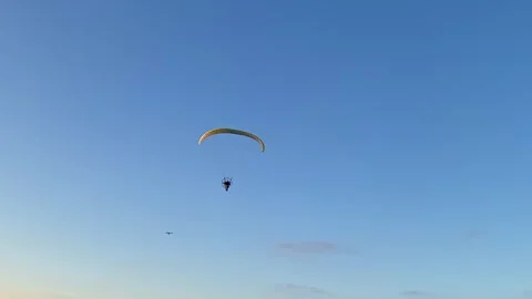 A paraglider pilot with a yellow canopy flies over the beach Stock Footage 338037815