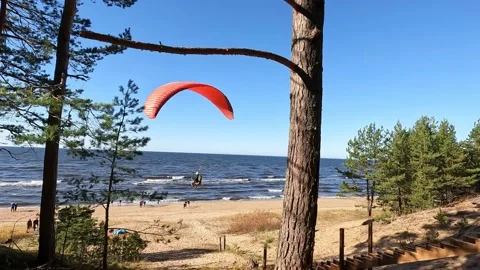 Paraglider with red glider taking of a dune by the Baltic sea Video stock 218978575