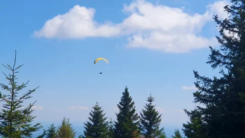 Paraglider Soaring Above Pine Forest Under Blue Sky and White Clouds Over Vídeo Stock 347208349