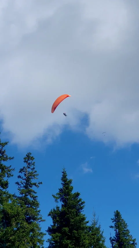 Paraglider Soaring Above Pine Forest Under Blue Sky and White Clouds Over Vidéo 348231755