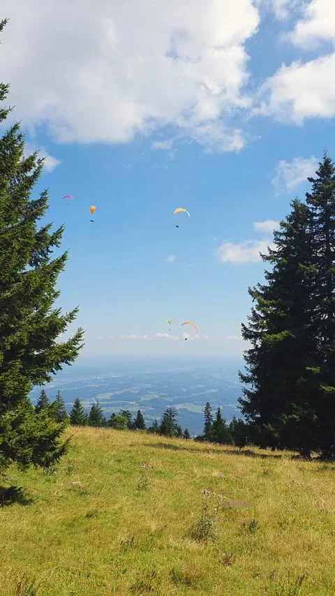 Paraglider Soaring Above Pine Forest Under Blue Sky and White Clouds Over Vidéo 348231805