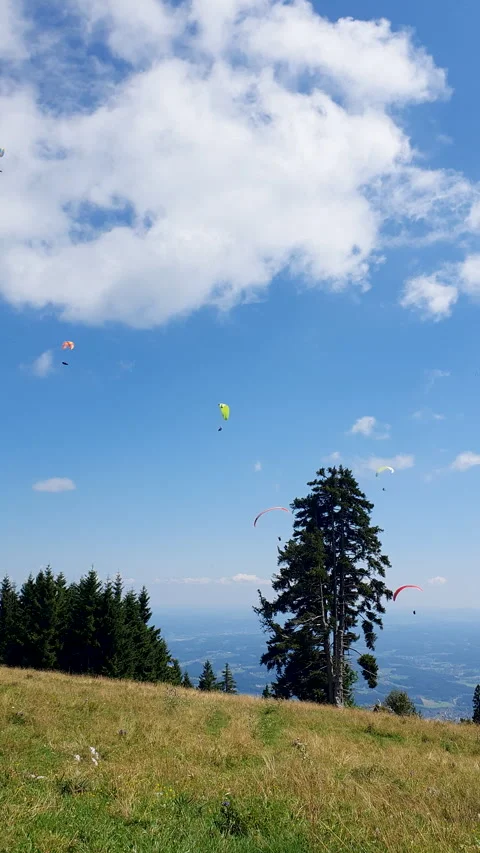 Paraglider Soaring Above Pine Forest Under Blue Sky and White Clouds Over Vidéo 348232109