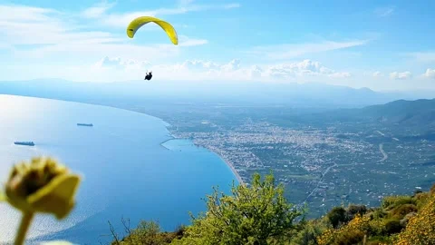 Paragliders and a beautiful view Stock Footage 239257745