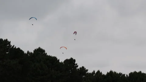 Paragliders flying over pine trees in Basque Country Stock Footage 342190320