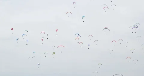 Paragliders on the sky Vídeo Stock 74076617