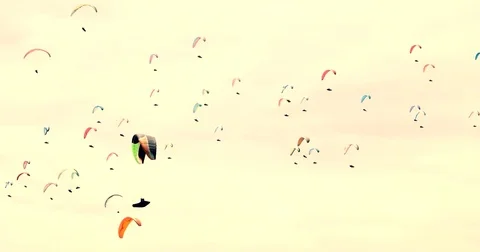 Paragliders on the sky Vídeo Stock 74078084
