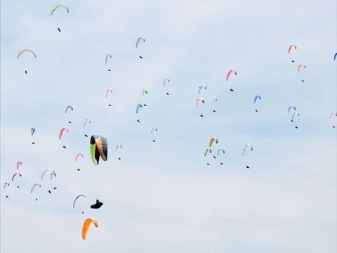 Paragliders on the sky Stock Footage 74080155