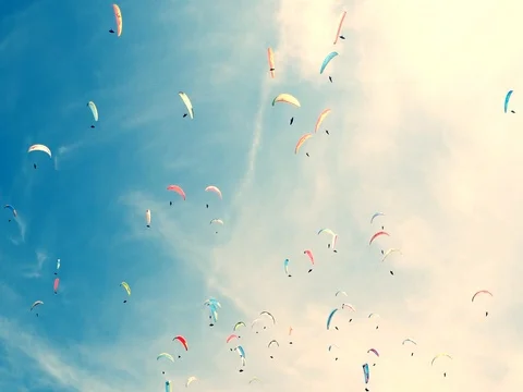 Paragliders on the sky Video stock 74085103