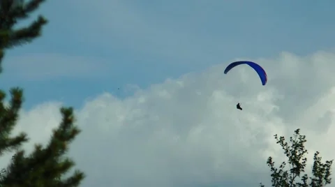 Paragliders soar over the forest on a background picturesque sky. Stock Footage 68725635