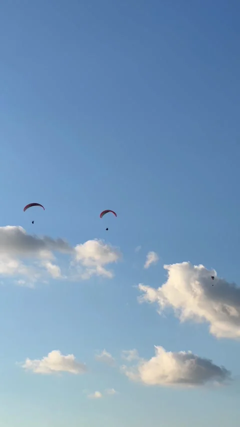 Paragliders soar through the sky after launching from Mount Babadag, Oludeniz Video stock 309996458
