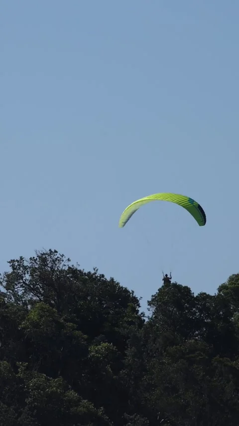 Paragliders Soaring Over Forest Stock Footage 304492940