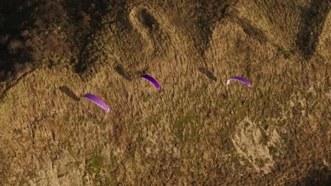 Paragliders throw shadows on dune as they do thrilling coastal soaring, aerial Video stock 297036672