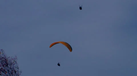Paragliding 10 Video stock 31204450
