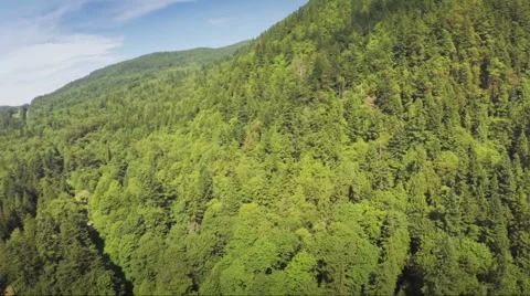 Paragliding above mountain Stock Footage 43431302