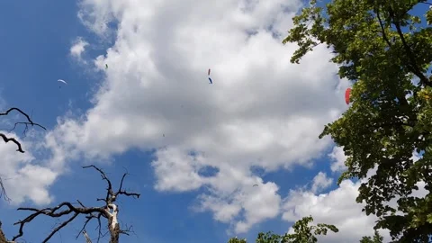 Paragliding Adventure 스톡 동영상 337191706