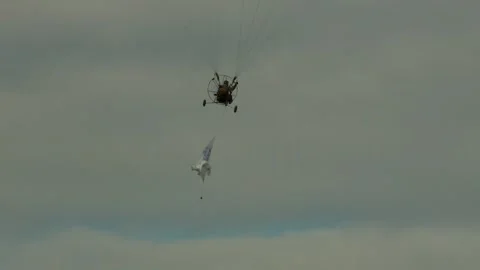 Paragliding in the air 17 스톡 동영상 321232679