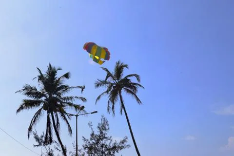 Paragliding between two palm trees in goa India Stock Photos