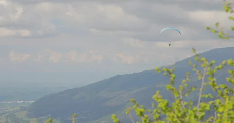 Paragliding in a cloudy day with a tree in the foreground Video stock 139519993
