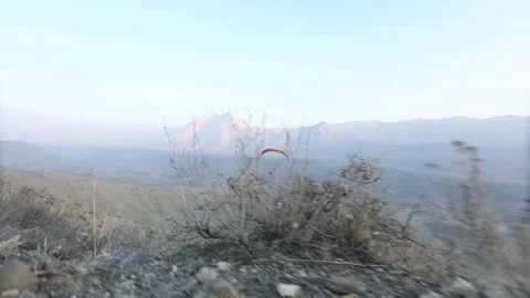 Paragliding in the field 6 Stock Footage 309554452