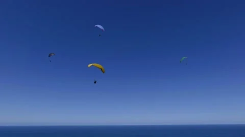 Paragliding Stock Footage 164130097