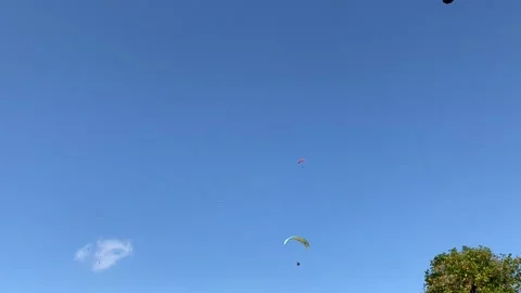 Paragliding Stock Footage 168222966