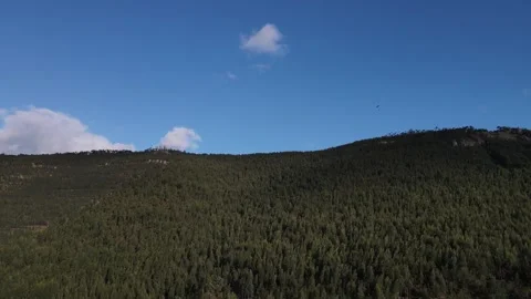 Paragliding Stock Footage 316706849