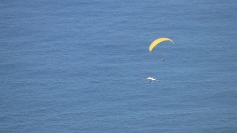 Paragliding making a turn over the ocean, in a beautiful fly Stock Footage 91753472