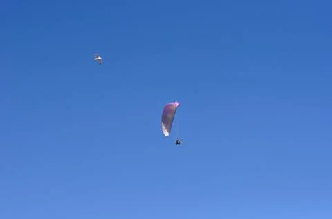 Paragliding Stock Photos