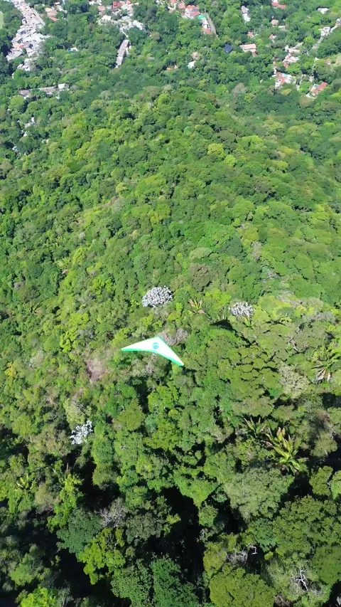 Paragliding Rio de Janeiro Video stock 309511014