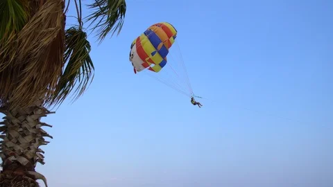Paragliding on the sea Video stock 92552609