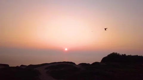 Paragliding at sunset Stock Footage 96638989