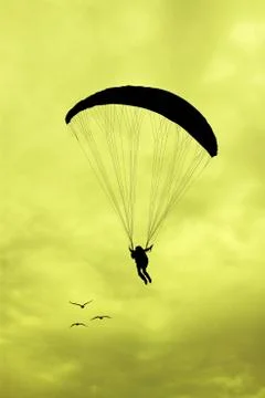 Paragliding at sunset Ilustración de archivo