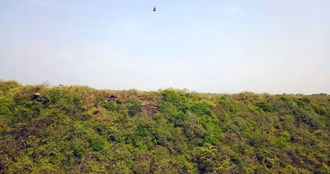 Paragliding in the tropics Stock Footage 98736353