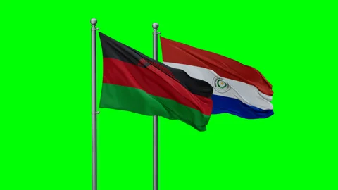 Paraguay and Malawi two flags Stock Footage 295178341