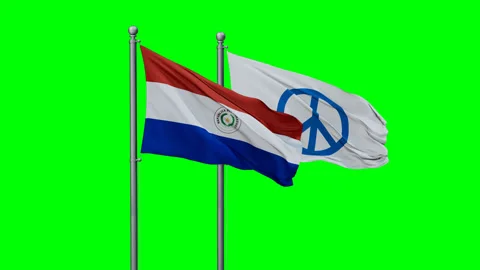 Paraguay and Peace two flags Stock Footage 293211587