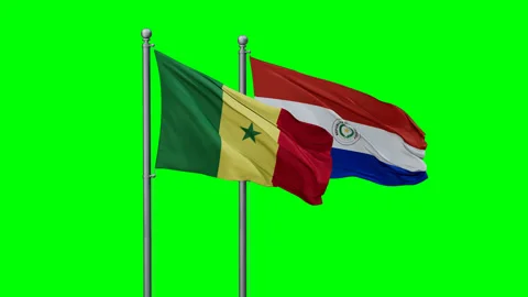 Paraguay and Senegal two flags Stock-Footage 293213904